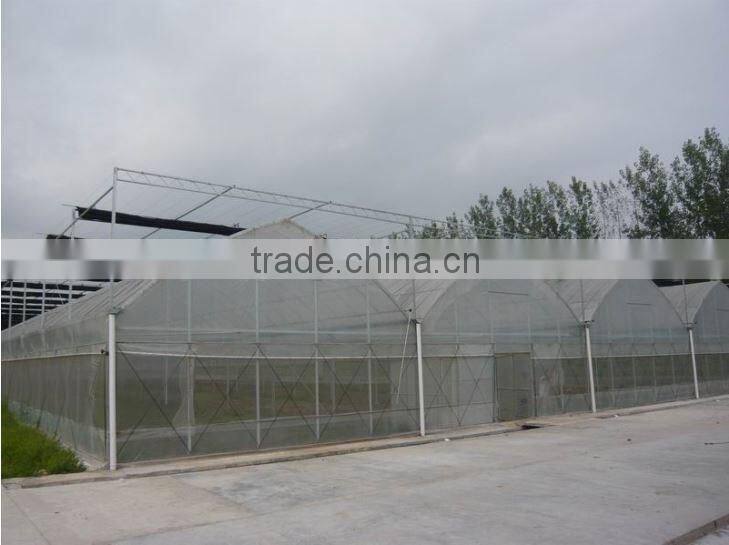5 years guarantee quality China famous brand Shungeng Plastic new material HDPE anti insect net with 5% Uv resistance additive