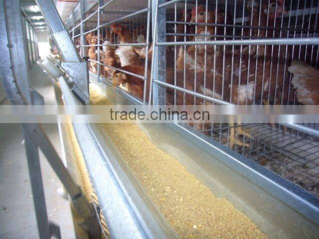 chicken farm building broiler poultry farm house design chicken breeding cage for kenya farms house