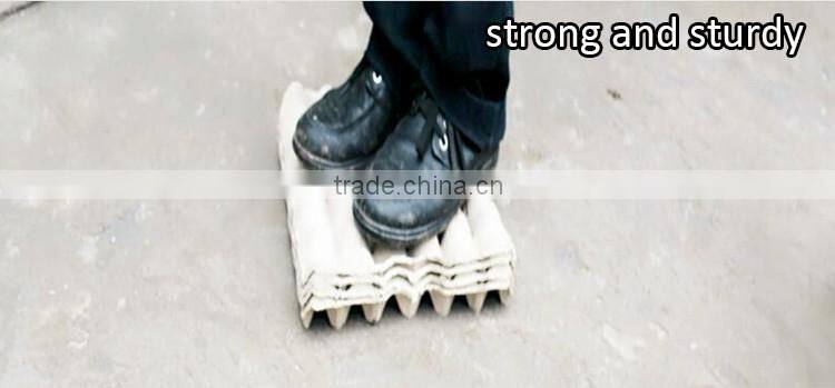 New technology plastic trays for eggs