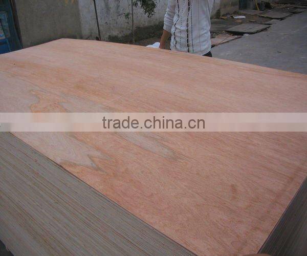 high quality bintangor plywood 2.5mm/3.6mm/4.6mm for South East Asia market