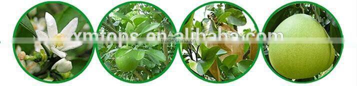 2015 New Crop Fresh sweet White hoeny pomelo