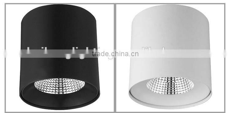 Alibaba 30W commercial led down light for jewelry/coffee shop/hotel