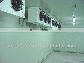 frozen cold room for meat and fish New