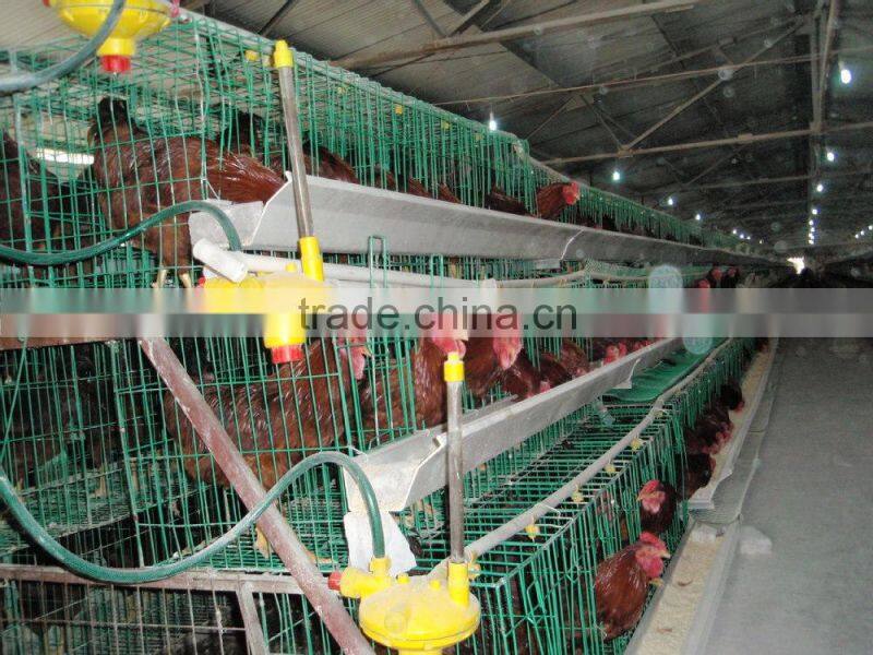 poultry farming commercial chicken coops