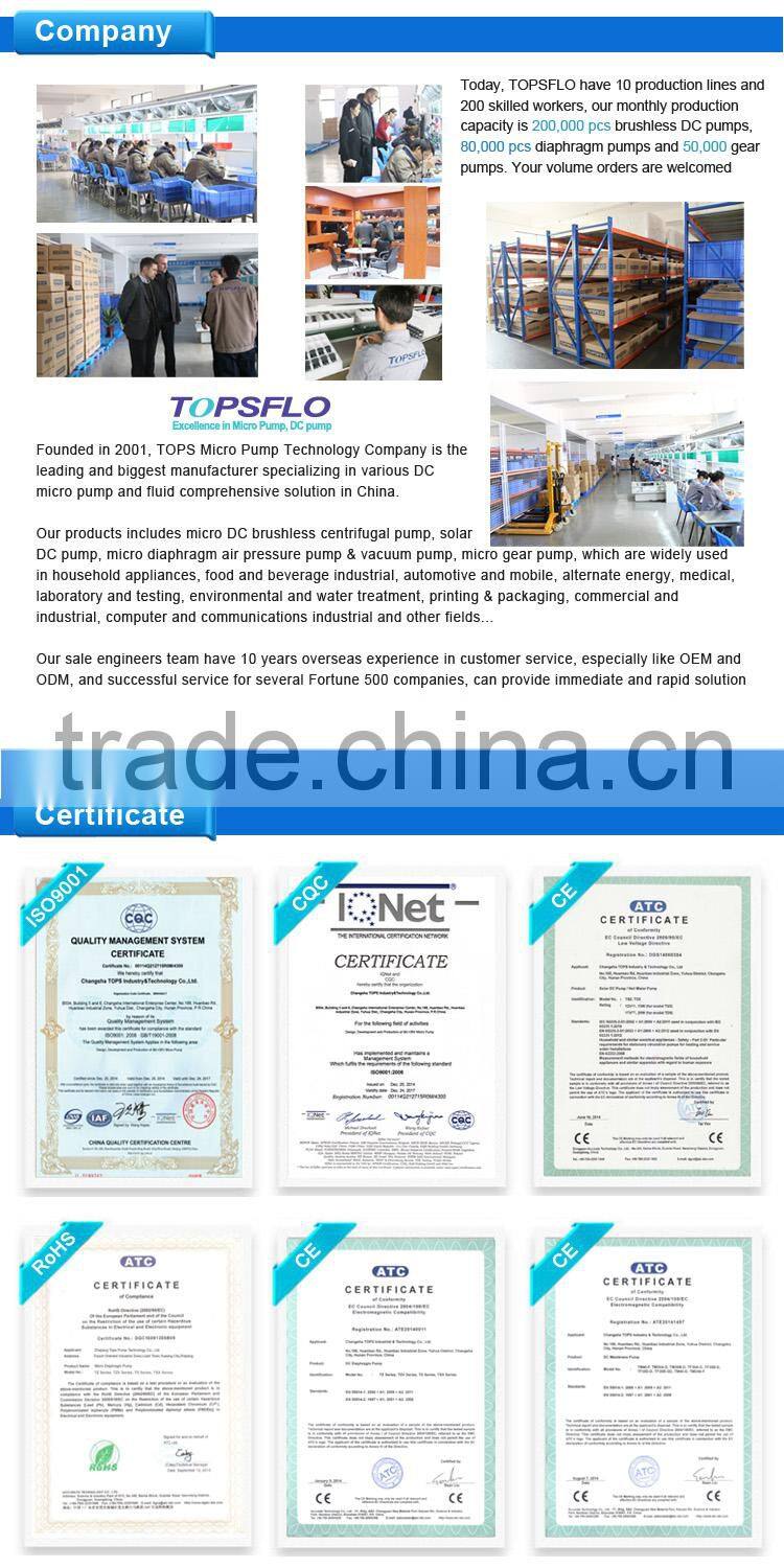 12v 24v dc brushless circulating auto garden pump