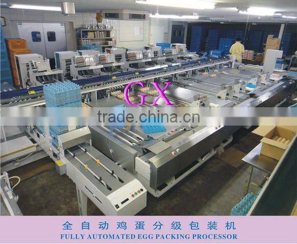 Full-Auto Egg Packing Processor