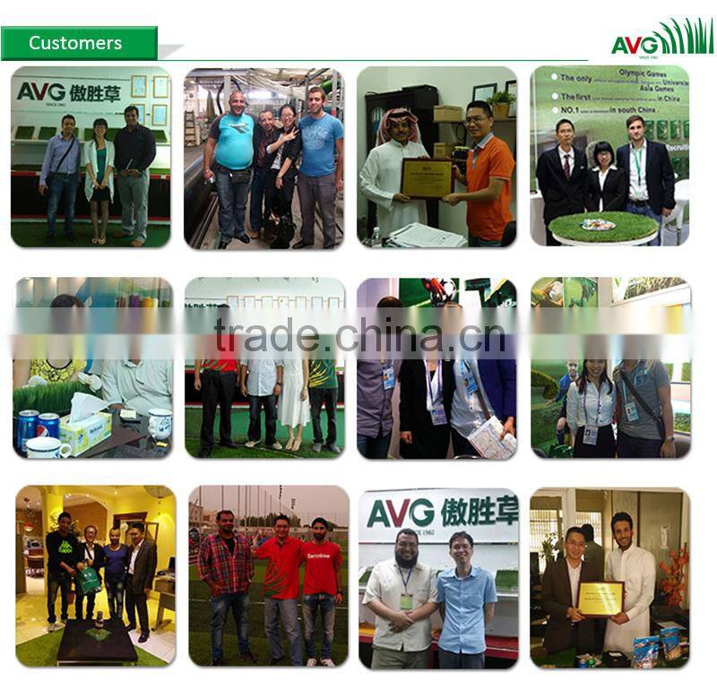 AVG hot big discount quality mini Golf Courts Turf