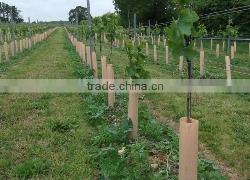 Corrugated pp coreflute plastic tree guards,flower pot