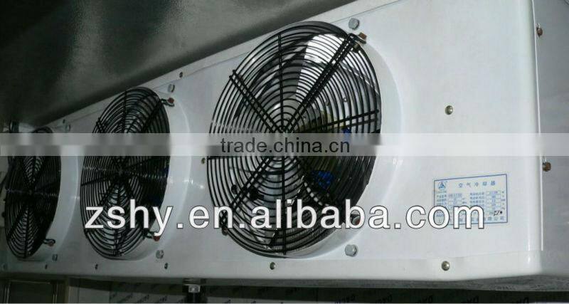 Supermarket glass door freezer (cold room)