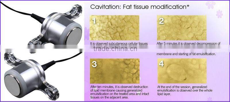 Professional Microcurrent Beauty Salon Equipment With Cavitation Vacuum RF Handles