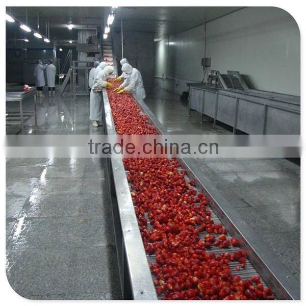 Haccp frozen IQF strawberry Gade A 15-- 25mm,25--35mm