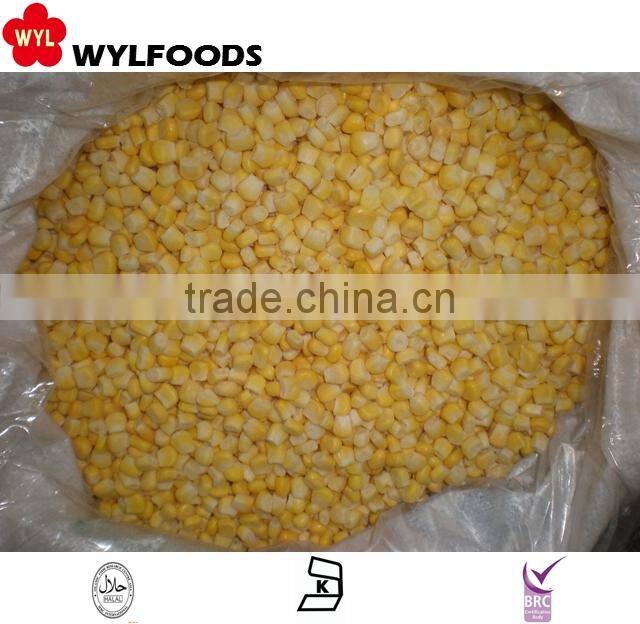 delicous snack frozen samosa high quality