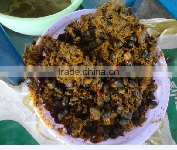 Palm Oil Press Machine/ Palm fruits oil press machine/ Palm kernel oil press machine