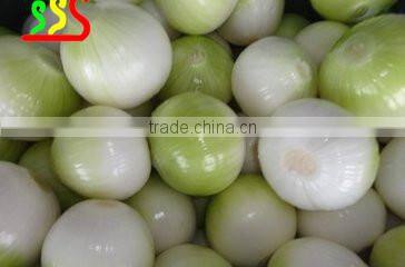 hot sale onion peeling machine manufacture