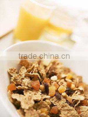 Sugar Coated Corn Flakes Corn Chips Production Line