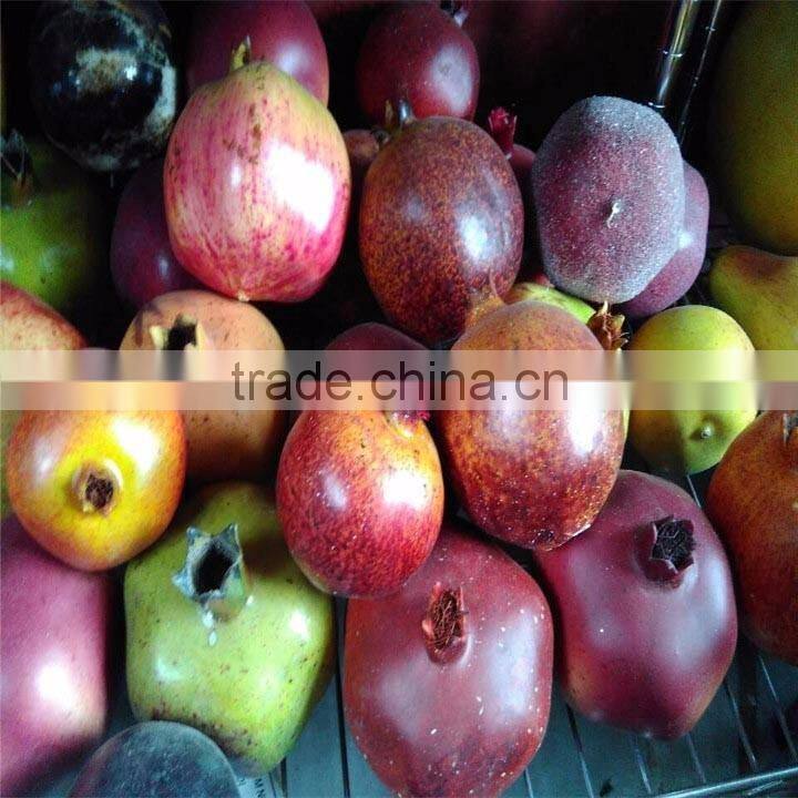 Harvest Festival Party Supplies artificial foam fruits and vegetables for event decor