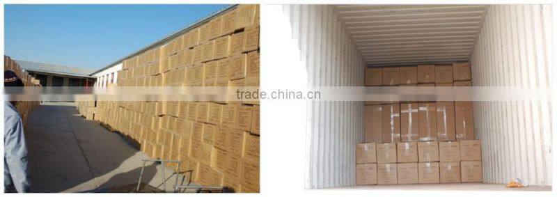 14oz Rip stop canvas swag New design 4x4 tent Fire retardant Hike tent