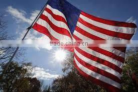 American flag Black White Tees latest new design short style lady printing graphic t shirt for women