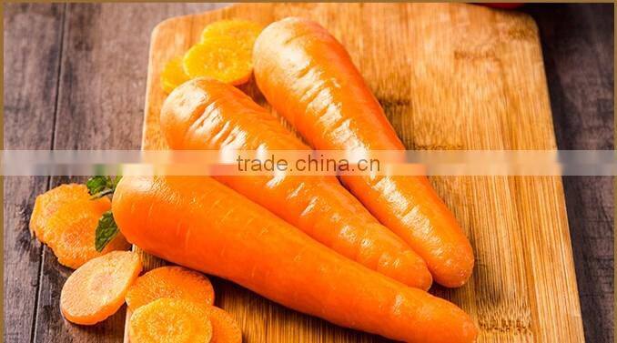 Chinese fresh Vegetable fresh market carrot