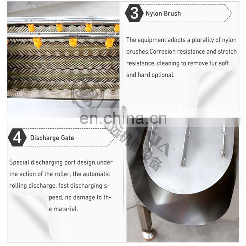 Vegetable carrot brush washing cleaning machine potato ginger brush roller washer and peeler machine