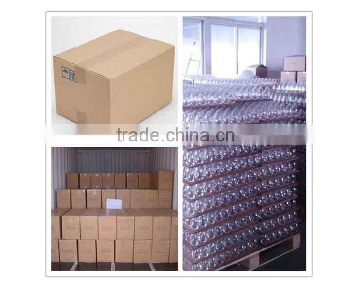 2014 new CPT008186 5ml nail polish bottle with great price