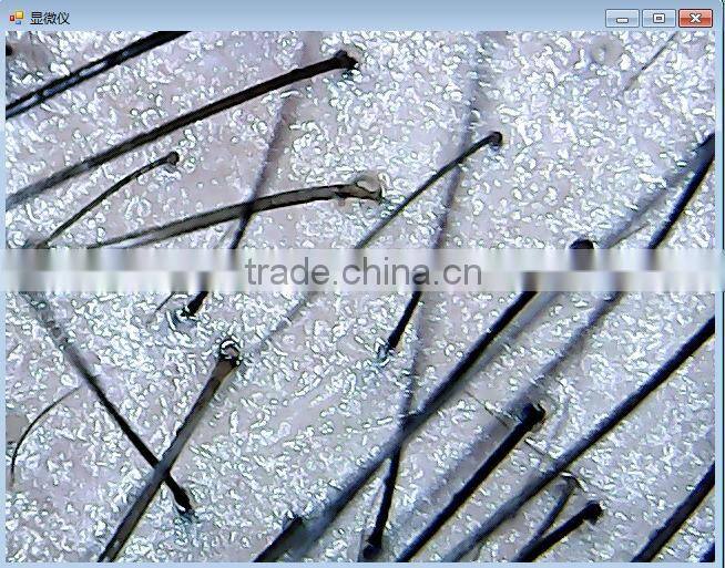 400X USB Digital Microscope 8 LED Magnifier Camera for qc skin industrial jewellery biological