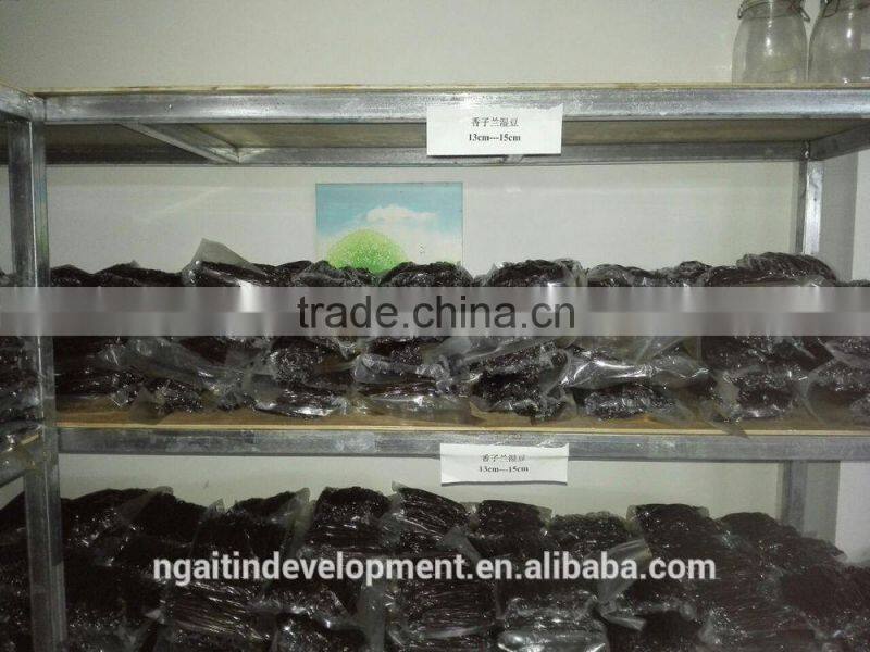 High Class Best Spice Madagascar Vanilla Bean