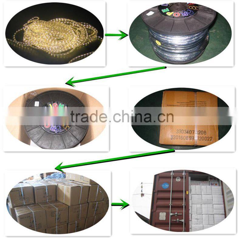 2wires steady rope light