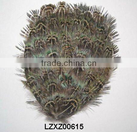 ringneck church window pad LZXZ00584