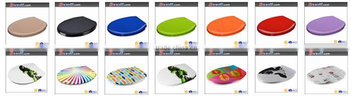 Customized design WC toilet with soft close hinge