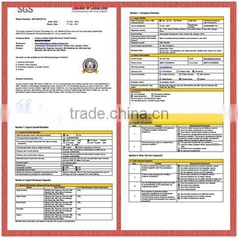 Winter Comfortable 100% Silk Quilt