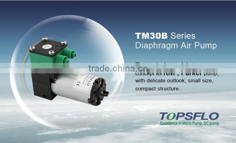 6v 12v 24v dc diaphragm small ozone purifier for air water with air pump