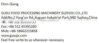 QDJ1000 width chocolate chip making machine