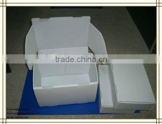 Nice design pp flute packing box