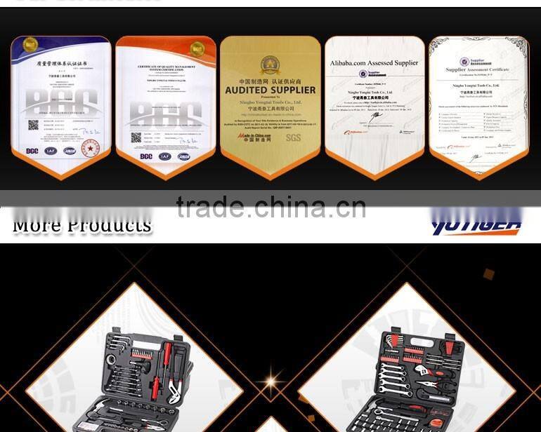 Professional Ease to carry blue measure Level