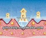 WL-41 Best home rf skin tightening face lifting machine