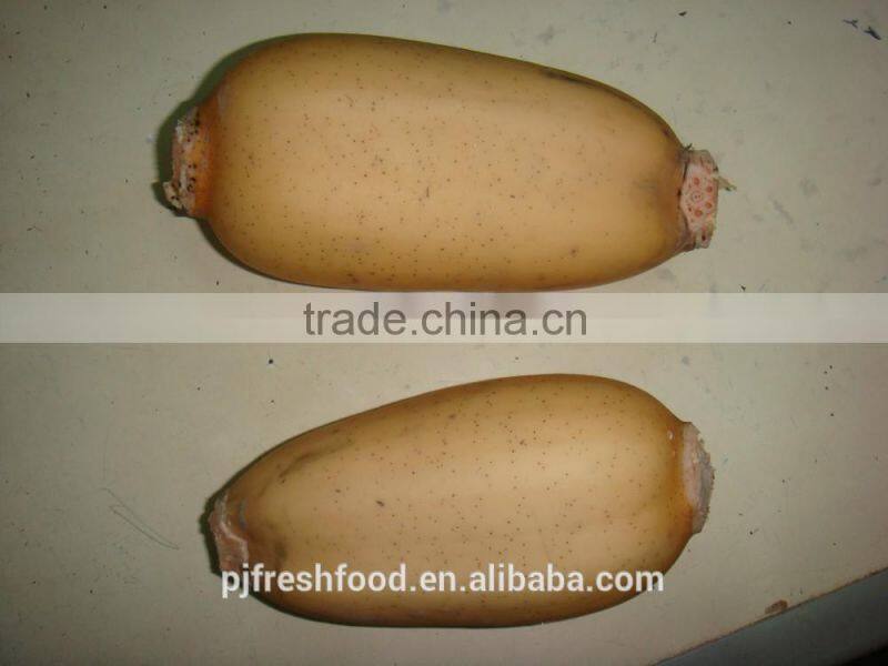 Bulk Package Lotus Root