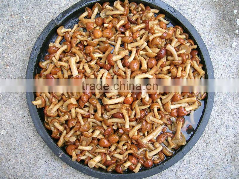to make Tin,Canned mushroom food