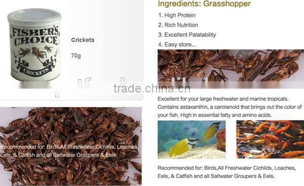 price arowana sturgeon fish farming food frozen crickets