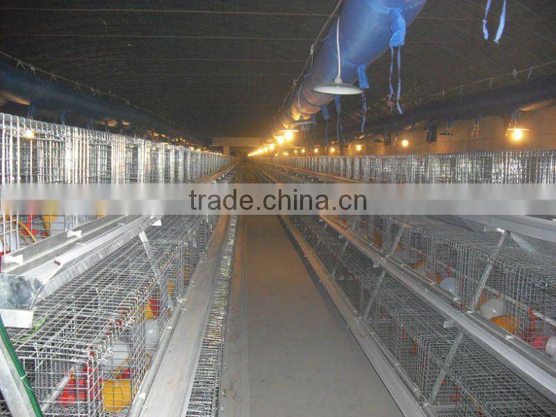broiler chicken cage