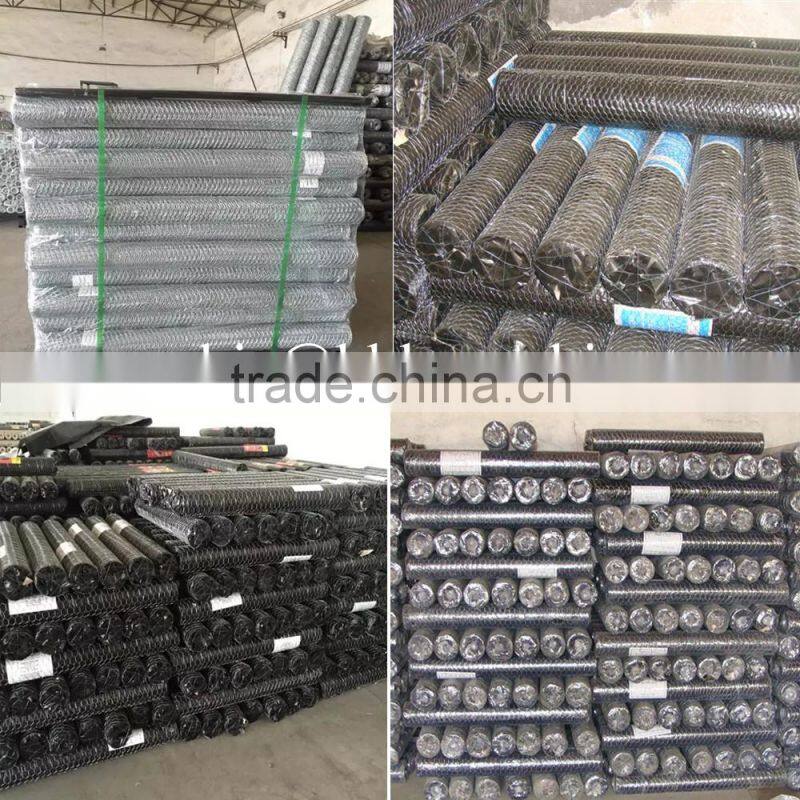 PVC coated Chicken Wire Mesh (Hexagonal Wire Netting)