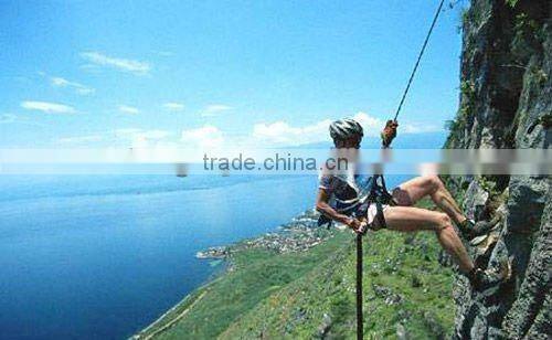 Paracord 550 Type 100ft 550 7 Strands Paracord