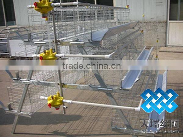 A type 3 layer poultry chicken cages