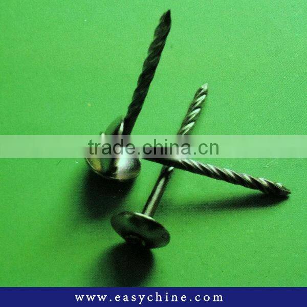 Wire Nail Plated SS