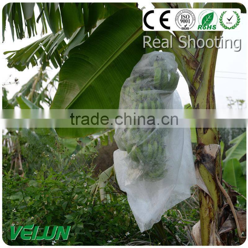 nonwoven fruit cooler bag