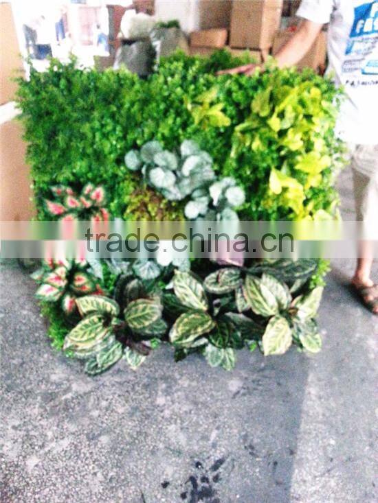 2017 factory price hot sale plastic plant wall artificial wall sale