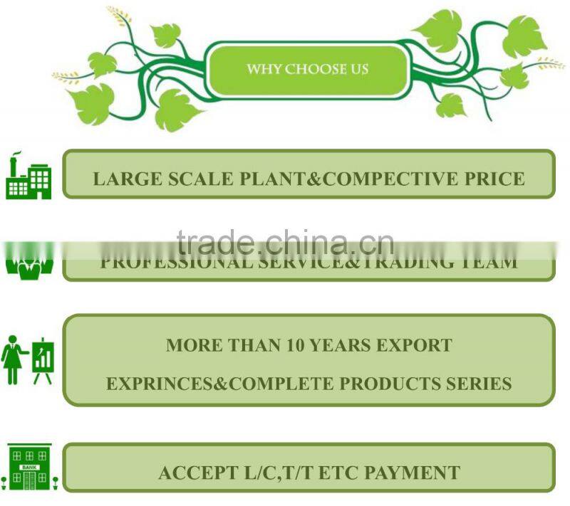W-02 Supplying Agriculture Tools&Garden Tools Superior Quality Wrecking Bar