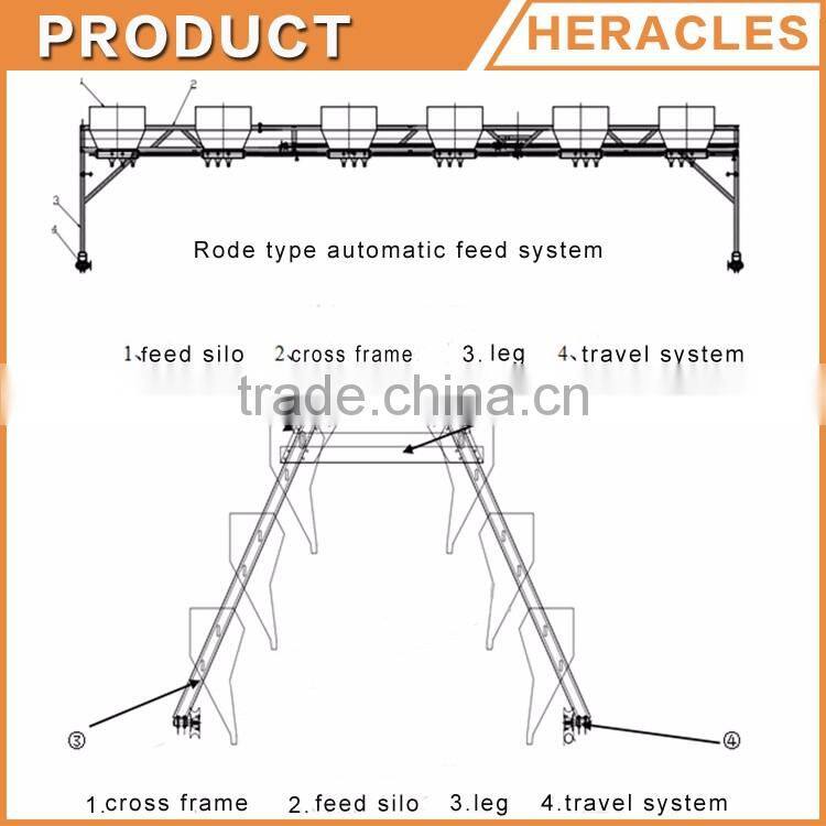 High quality cheap poultry cage layer chicken used chicken cage