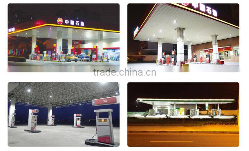 MCLED MF03-80W aluminum best selling products Bridgelux LED gas atation Explosion Proof light ATEX