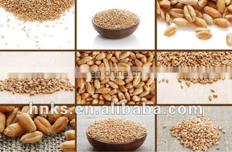 Automatic stainless steel 3000 kg/h grains washer and dryer machine / soybean dryer